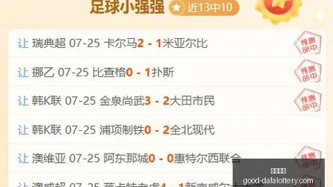 2026年燧原科技，大发彩票避坑，中签实操指南，一签赚13万不是梦